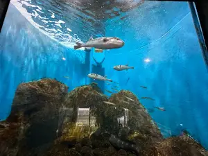 Shibetsu Salmon Museum