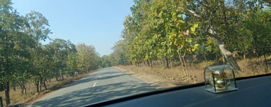 Cut to Panna Waterfall