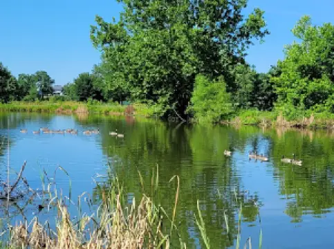 Woodsboro Park