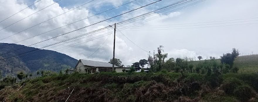 Quinta Eduviges
