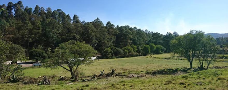 el encanto de las luciernagas ejido de san jose nanacamilpa