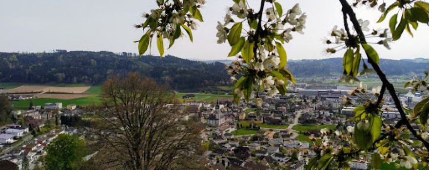 Buechwald