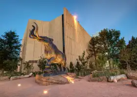 Denver Museum of Nature & Science