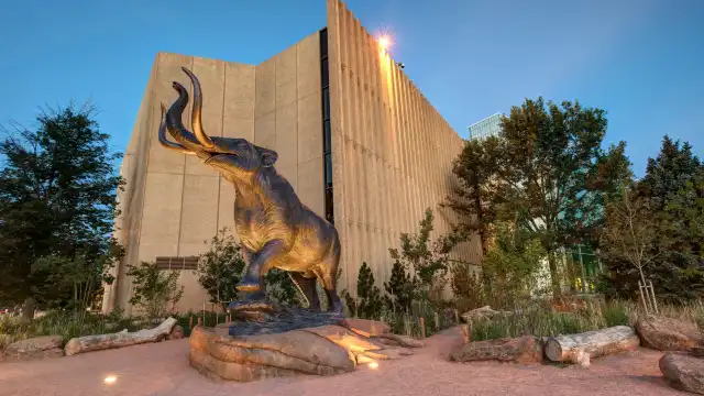 Hotels near Denver Museum of Nature & Science