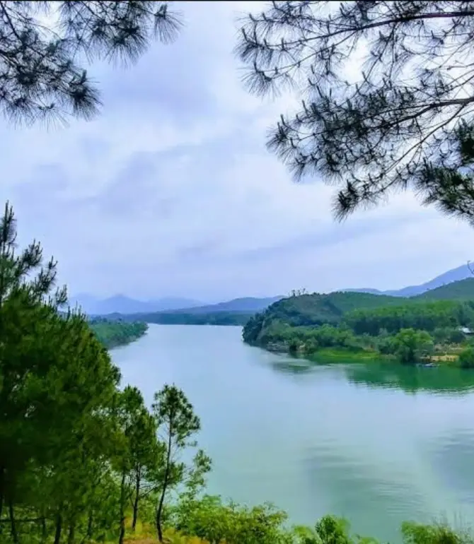 Thủy Biều