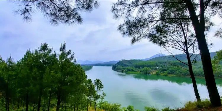 Thủy Biều
