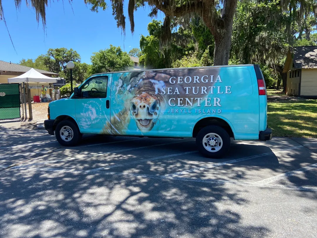 4_Georgia Sea Turtle Center