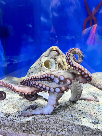 Aquaworld Aquarium & Reptile Rescue Centre