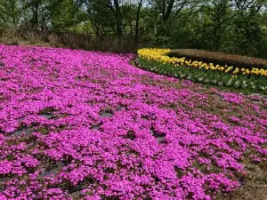 미치노쿠 공원
