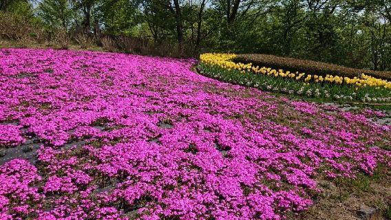Michinoku Lakeside National Government Park