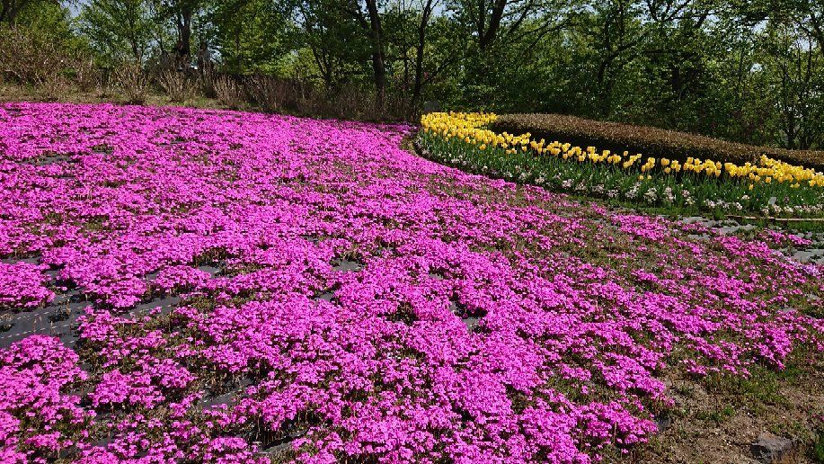 Michinoku Lakeside National Government Park