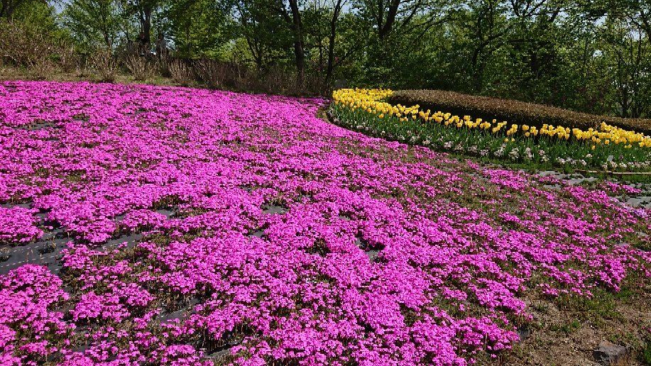 Michinoku Lakeside National Government Park