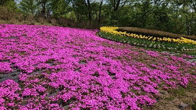 Michinoku Lakeside National Government Park