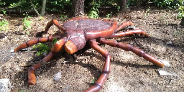 Forest Botanical Garden Marszewo