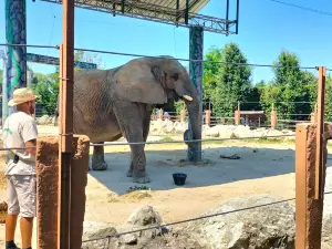 Zoo d'Abruzzo