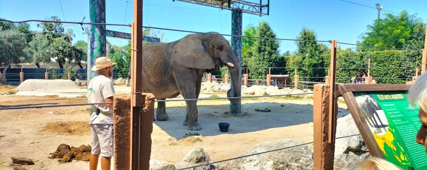 Zoo d'Abruzzo