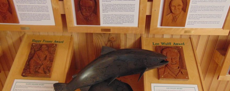 Wild Salmon Nature Centre