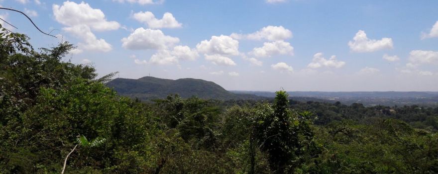 Anthropological Reserve of Cuevas del Pomier