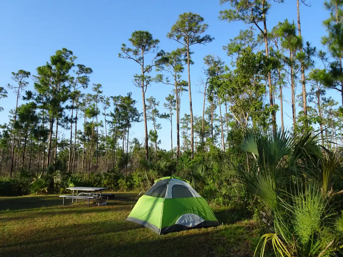 Hotels near Long Pine Key
