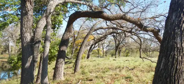 Hotels in Kimble County