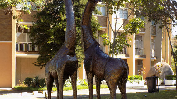 Natural History Museum