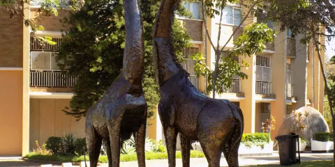 Natural History Museum