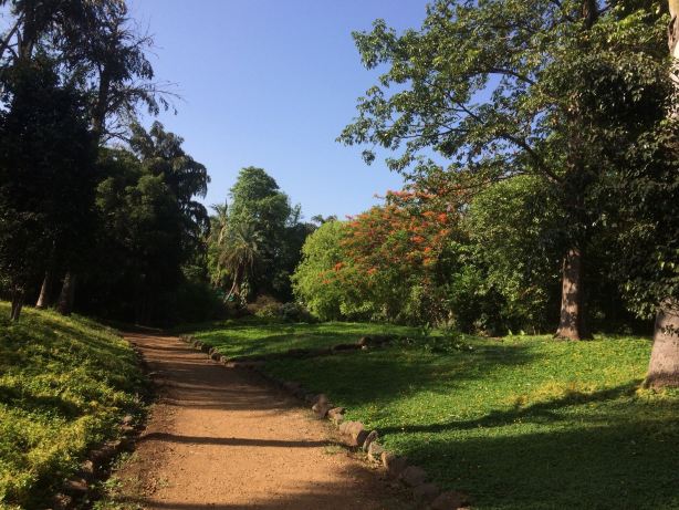 Koregaon Park