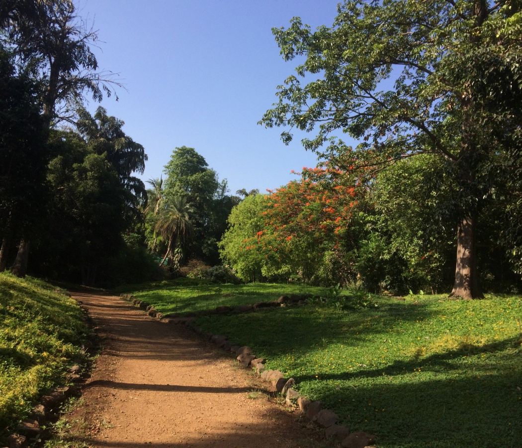 Koregaon Park