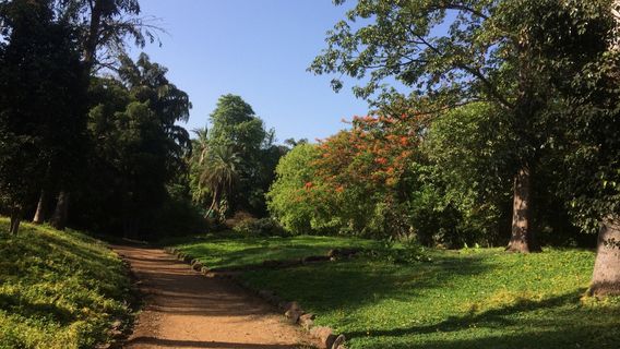 Pune