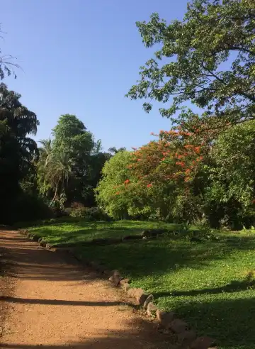 โรงแรมใกล้Osho Teerth Park