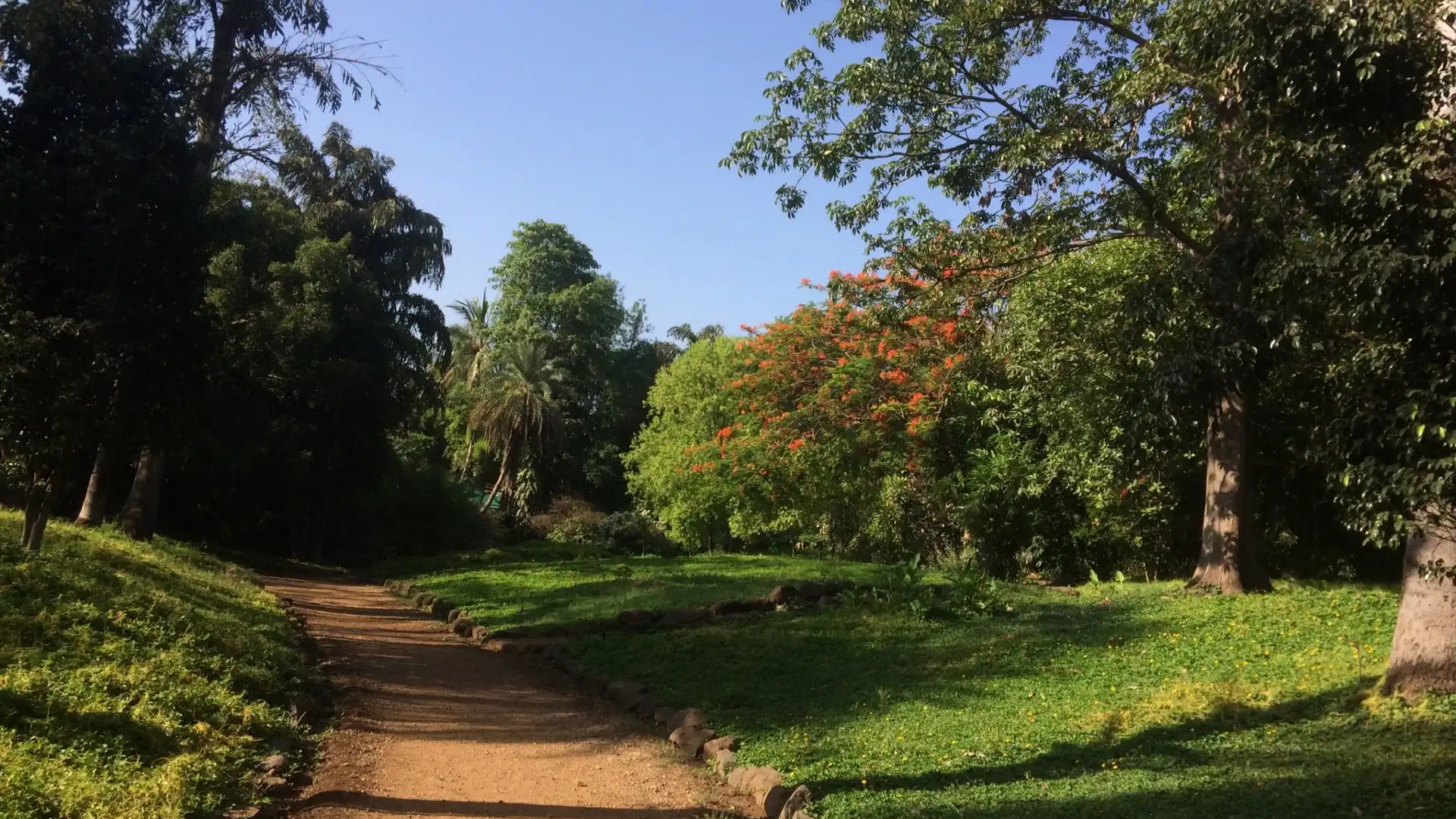 Hotels near Osho Teerth Park