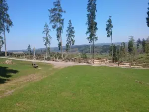 Wildpark Frankenberg