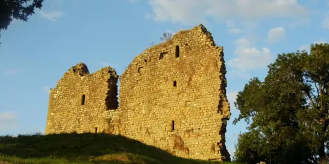 Thirlwall Castle