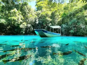 Recanto Ecologico Rio da Prata