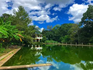 Museo El Lencero