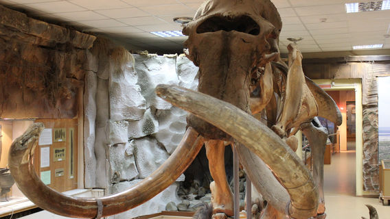 Yakutsk Regional History Museum