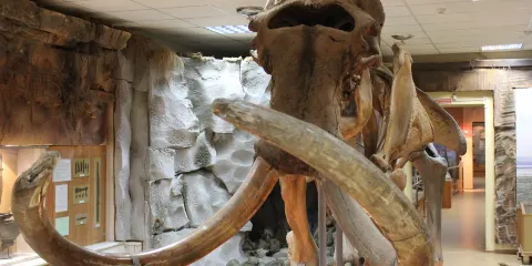 The Museum of History and Culture of The People of The North