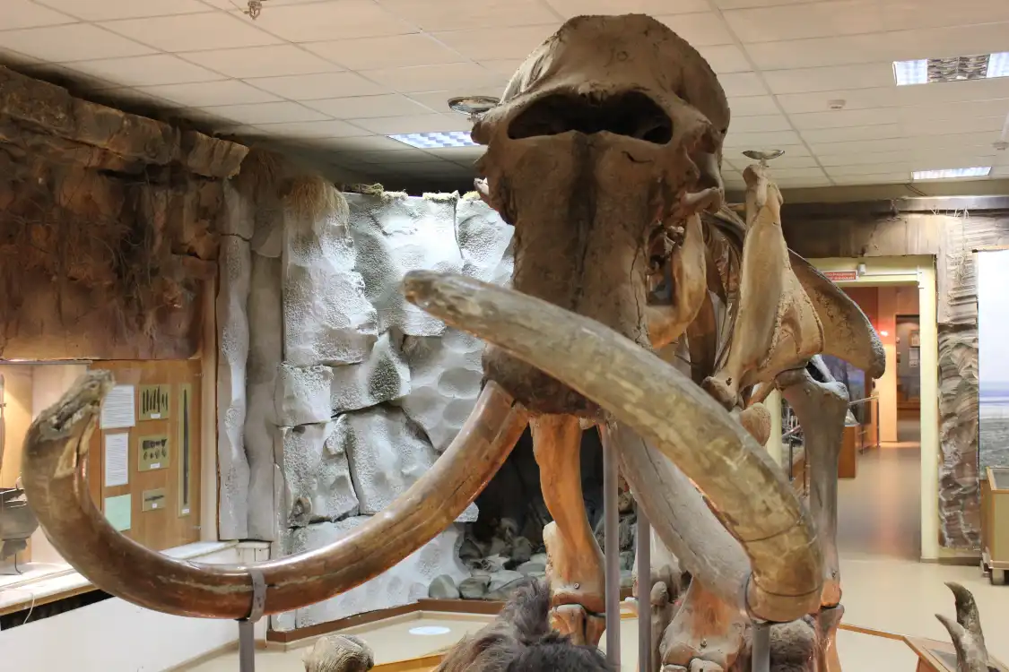 Hotel in zona The Museum of History and Culture of The People of The North