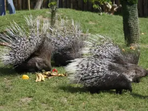 Munkholm Zoo