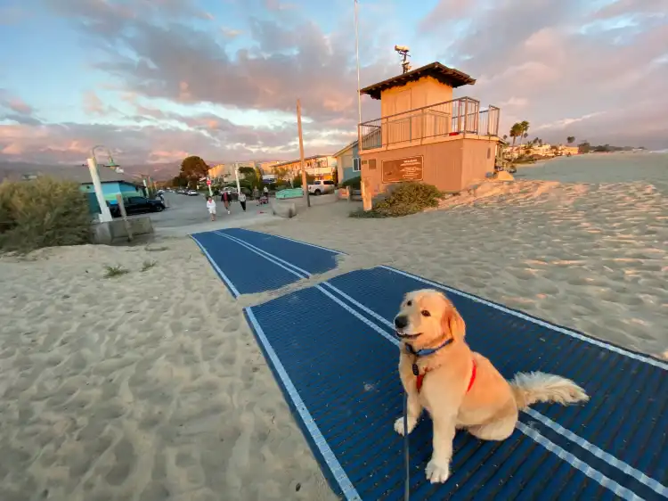 Hotels in Carpinteria