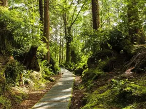 Tonquin Park
