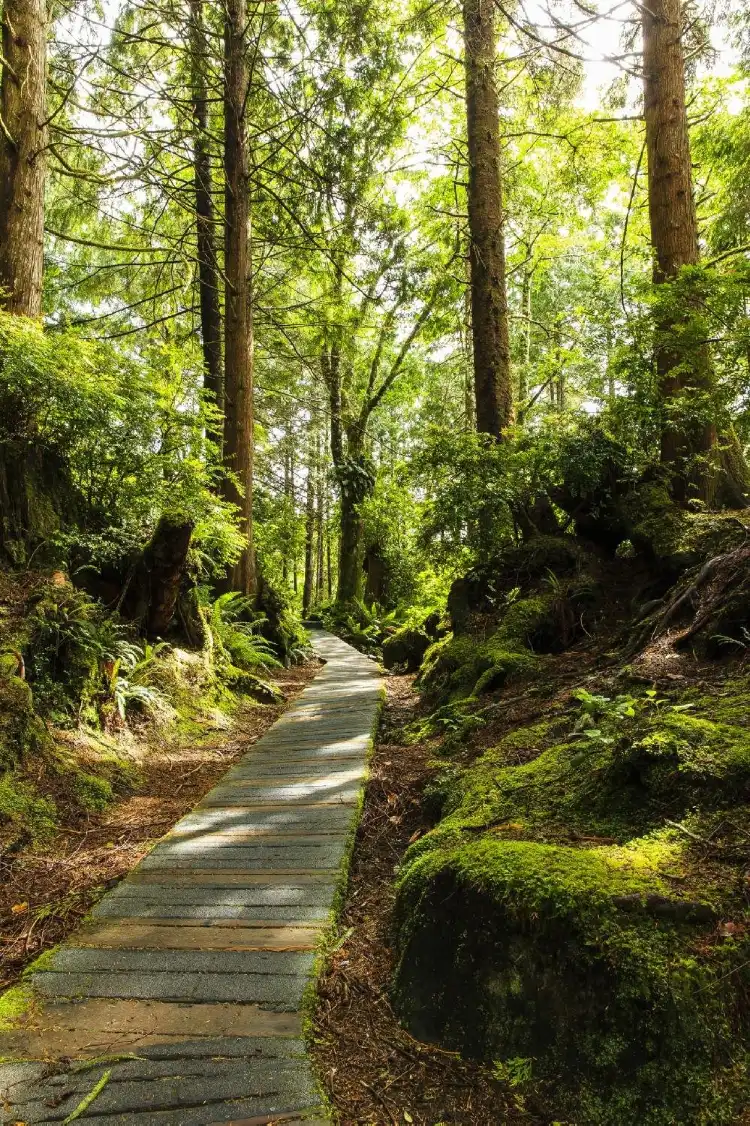 Hotels near Tonquin Park