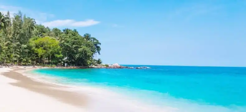 โรงแรมในเบโตตาริเวอร์