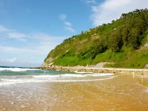 Beach of Rodiles