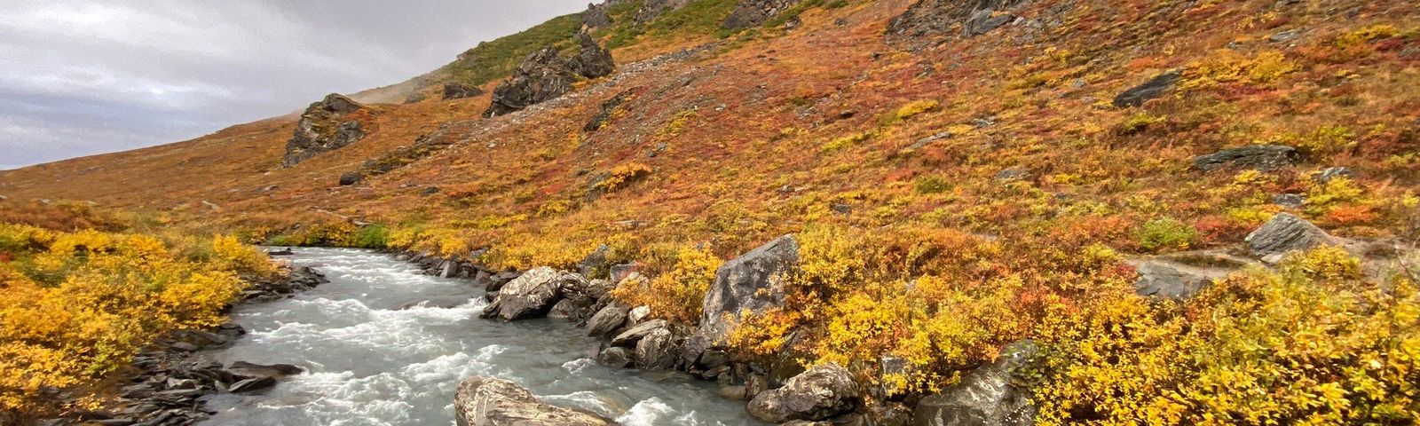HealyTours de un día