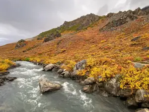 Savage River Loop Trail