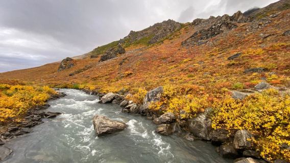Savage River Loop Trail