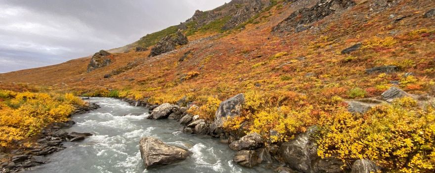 Savage River Loop Trail