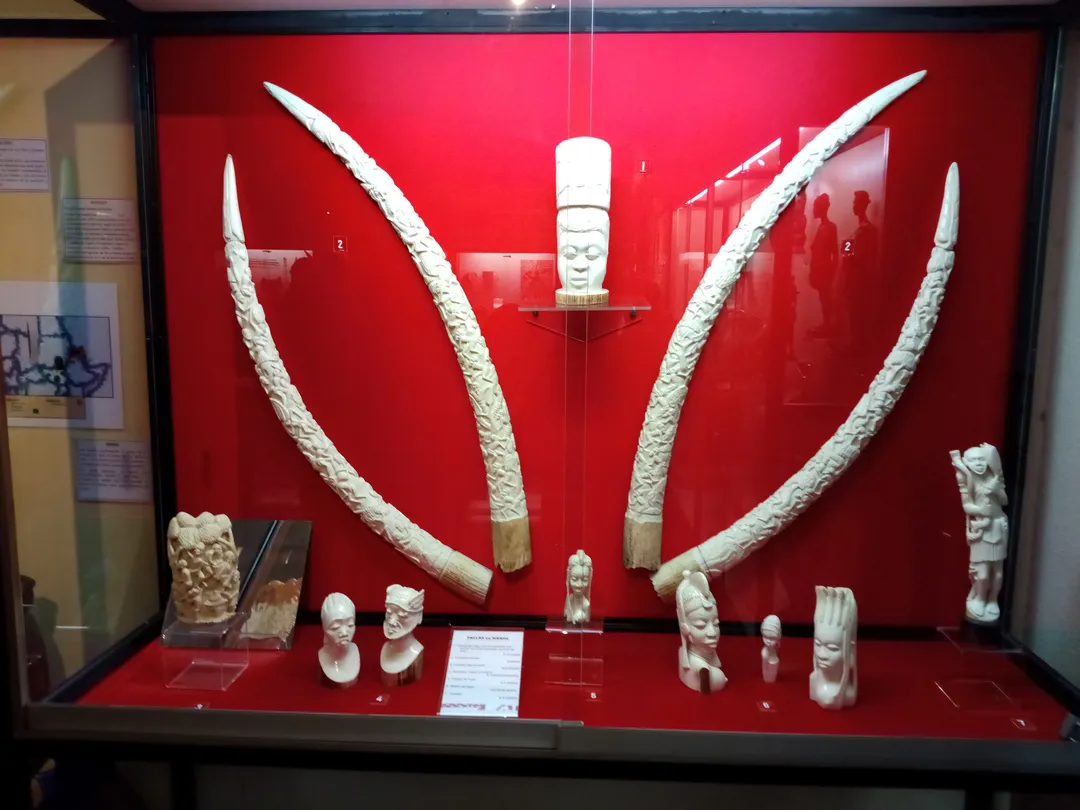 3_Museo Africano Mundo Negro