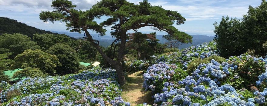 Inagawa Town Inagawa Observatory